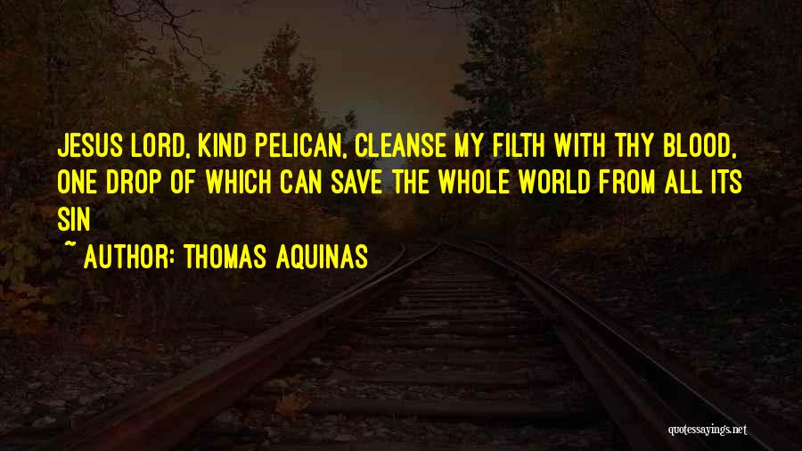 Thomas Aquinas Quotes: Jesus Lord, Kind Pelican, Cleanse My Filth With Thy Blood, One Drop Of Which Can Save The Whole World From
