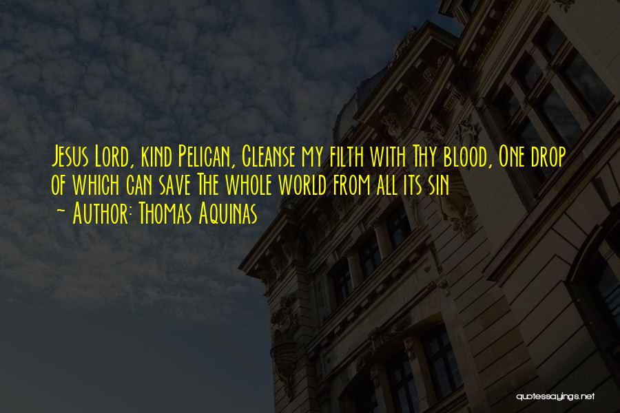 Thomas Aquinas Quotes: Jesus Lord, Kind Pelican, Cleanse My Filth With Thy Blood, One Drop Of Which Can Save The Whole World From