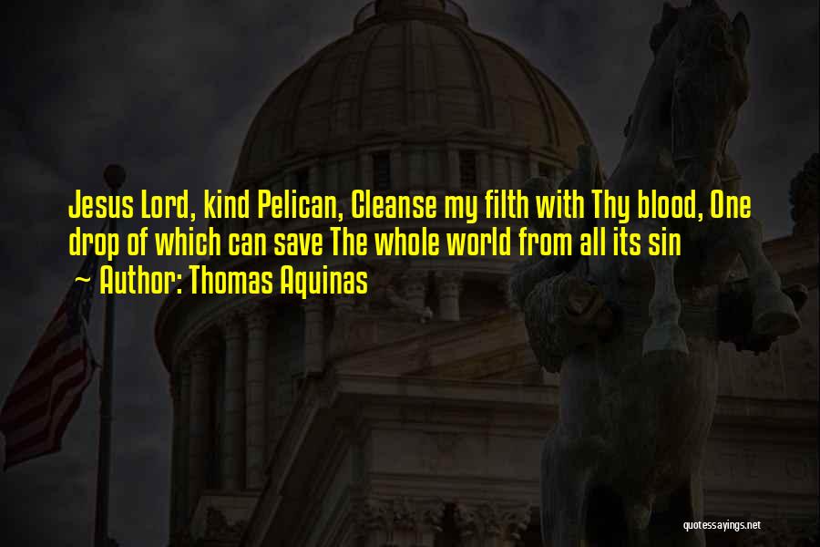 Thomas Aquinas Quotes: Jesus Lord, Kind Pelican, Cleanse My Filth With Thy Blood, One Drop Of Which Can Save The Whole World From