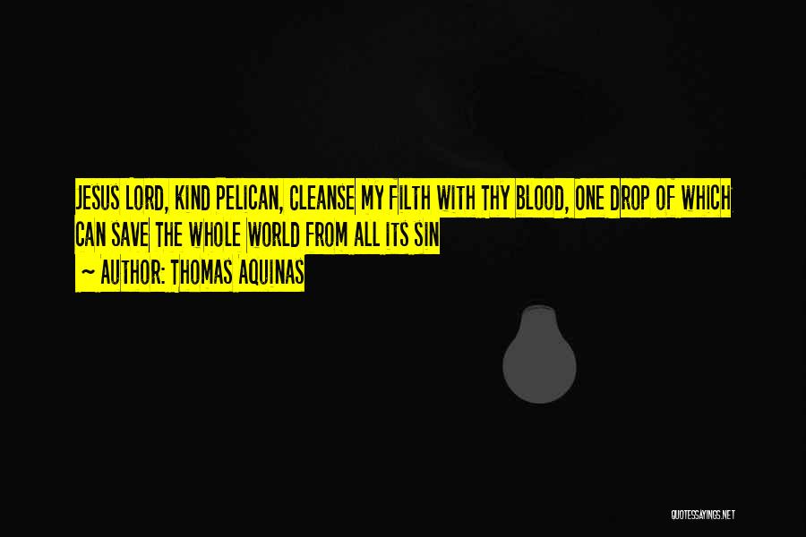 Thomas Aquinas Quotes: Jesus Lord, Kind Pelican, Cleanse My Filth With Thy Blood, One Drop Of Which Can Save The Whole World From