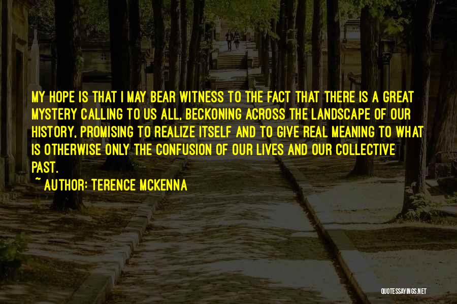 Terence McKenna Quotes: My Hope Is That I May Bear Witness To The Fact That There Is A Great Mystery Calling To Us