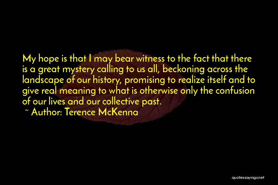 Terence McKenna Quotes: My Hope Is That I May Bear Witness To The Fact That There Is A Great Mystery Calling To Us