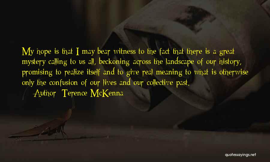 Terence McKenna Quotes: My Hope Is That I May Bear Witness To The Fact That There Is A Great Mystery Calling To Us