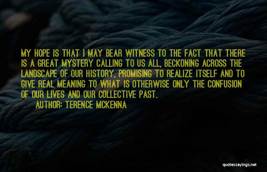 Terence McKenna Quotes: My Hope Is That I May Bear Witness To The Fact That There Is A Great Mystery Calling To Us