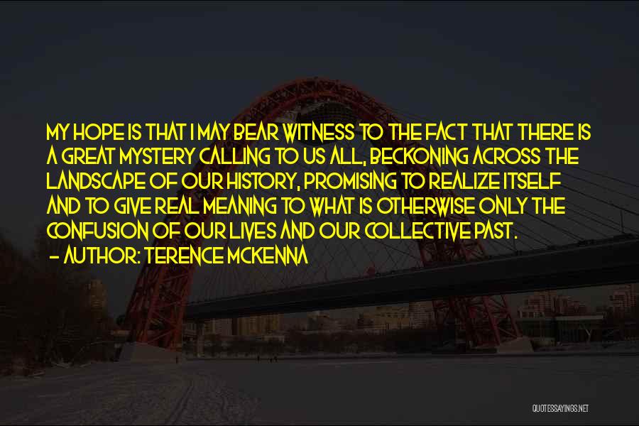 Terence McKenna Quotes: My Hope Is That I May Bear Witness To The Fact That There Is A Great Mystery Calling To Us