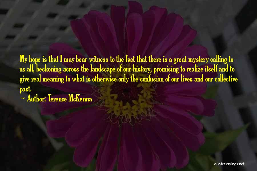 Terence McKenna Quotes: My Hope Is That I May Bear Witness To The Fact That There Is A Great Mystery Calling To Us