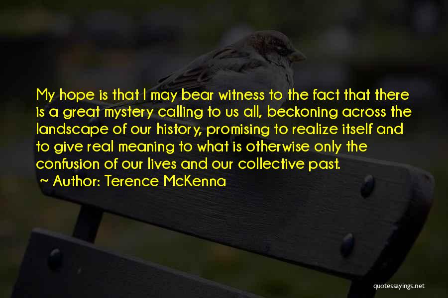 Terence McKenna Quotes: My Hope Is That I May Bear Witness To The Fact That There Is A Great Mystery Calling To Us