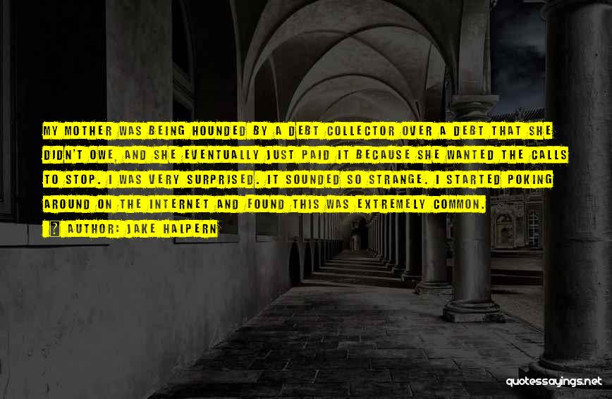 Jake Halpern Quotes: My Mother Was Being Hounded By A Debt Collector Over A Debt That She Didn't Owe, And She Eventually Just