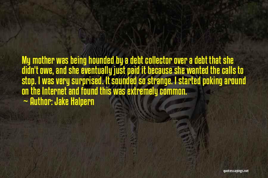 Jake Halpern Quotes: My Mother Was Being Hounded By A Debt Collector Over A Debt That She Didn't Owe, And She Eventually Just