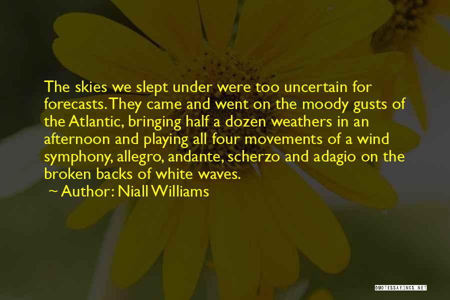 Niall Williams Quotes: The Skies We Slept Under Were Too Uncertain For Forecasts. They Came And Went On The Moody Gusts Of The