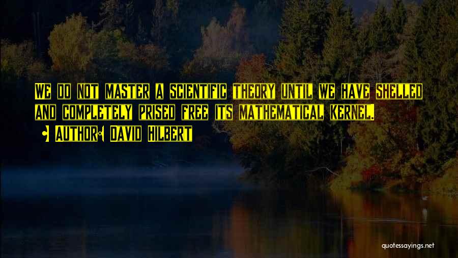 David Hilbert Quotes: We Do Not Master A Scientific Theory Until We Have Shelled And Completely Prised Free Its Mathematical Kernel.