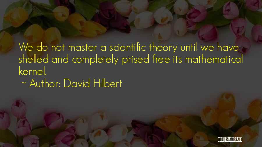 David Hilbert Quotes: We Do Not Master A Scientific Theory Until We Have Shelled And Completely Prised Free Its Mathematical Kernel.