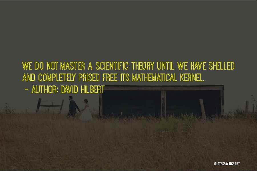 David Hilbert Quotes: We Do Not Master A Scientific Theory Until We Have Shelled And Completely Prised Free Its Mathematical Kernel.