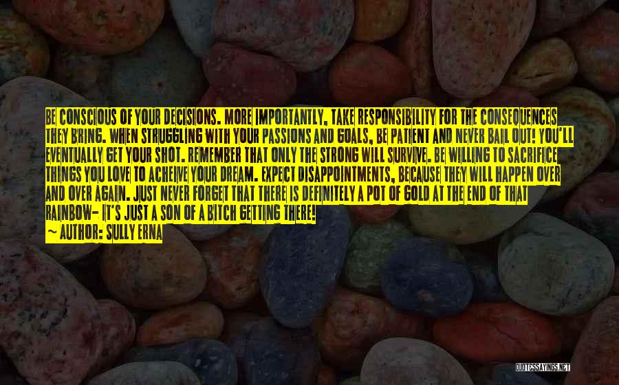 Sully Erna Quotes: Be Conscious Of Your Decisions. More Importantly, Take Responsibility For The Consequences They Bring. When Struggling With Your Passions And