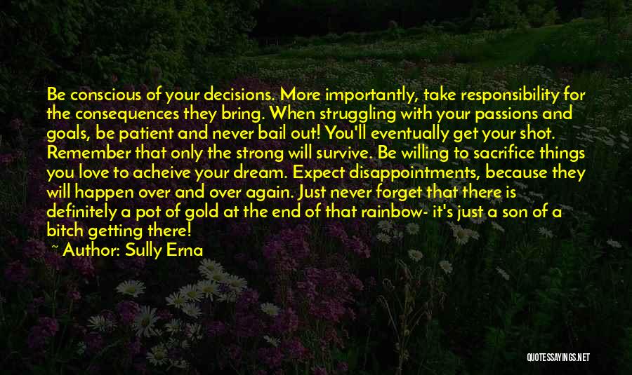 Sully Erna Quotes: Be Conscious Of Your Decisions. More Importantly, Take Responsibility For The Consequences They Bring. When Struggling With Your Passions And