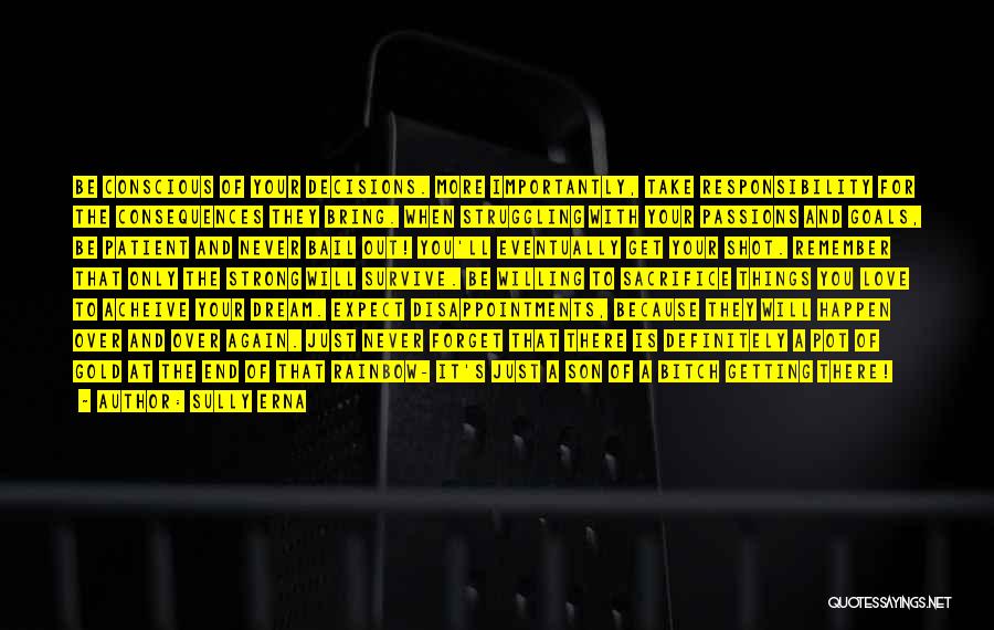 Sully Erna Quotes: Be Conscious Of Your Decisions. More Importantly, Take Responsibility For The Consequences They Bring. When Struggling With Your Passions And