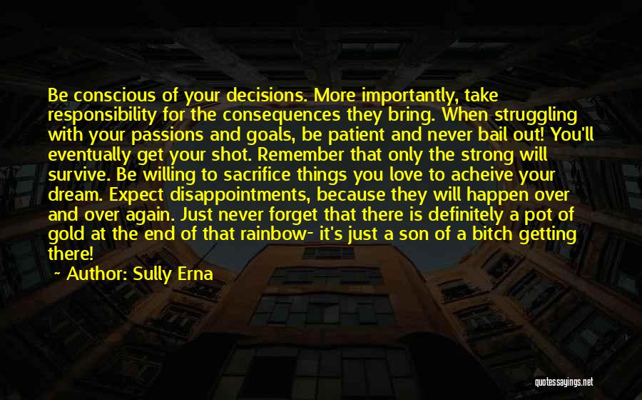 Sully Erna Quotes: Be Conscious Of Your Decisions. More Importantly, Take Responsibility For The Consequences They Bring. When Struggling With Your Passions And