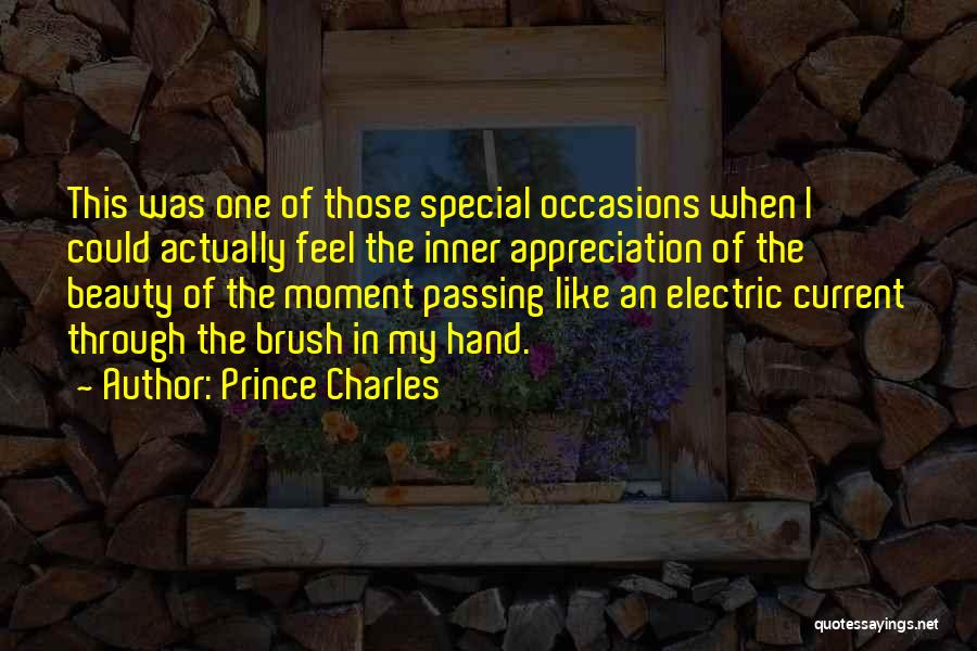 Prince Charles Quotes: This Was One Of Those Special Occasions When I Could Actually Feel The Inner Appreciation Of The Beauty Of The