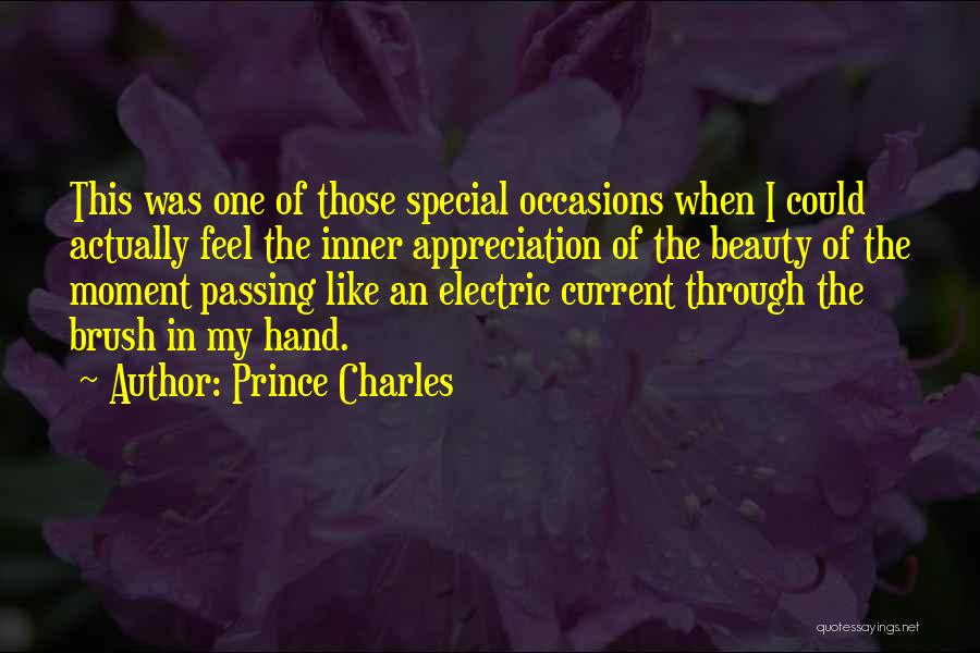 Prince Charles Quotes: This Was One Of Those Special Occasions When I Could Actually Feel The Inner Appreciation Of The Beauty Of The