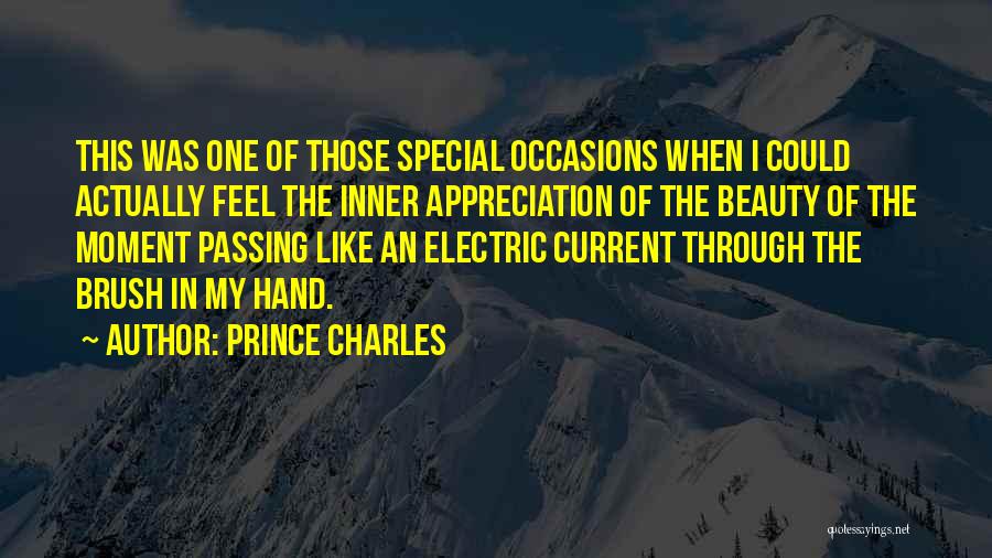 Prince Charles Quotes: This Was One Of Those Special Occasions When I Could Actually Feel The Inner Appreciation Of The Beauty Of The