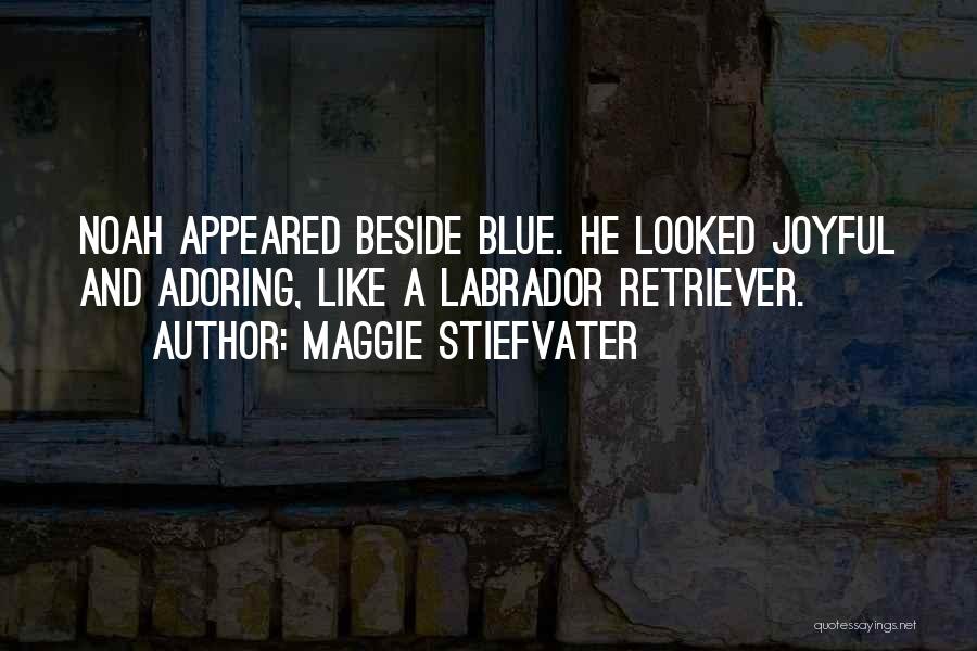 Maggie Stiefvater Quotes: Noah Appeared Beside Blue. He Looked Joyful And Adoring, Like A Labrador Retriever.