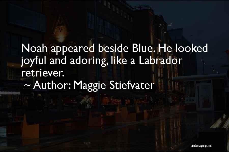 Maggie Stiefvater Quotes: Noah Appeared Beside Blue. He Looked Joyful And Adoring, Like A Labrador Retriever.