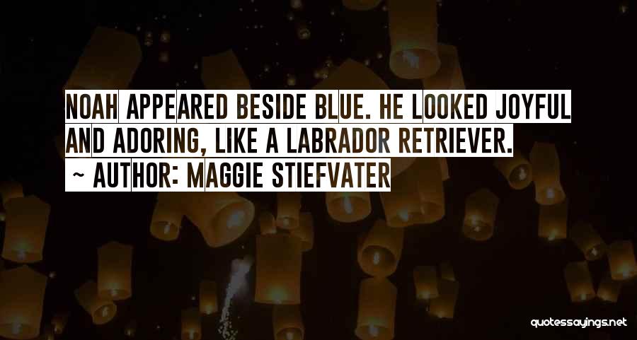 Maggie Stiefvater Quotes: Noah Appeared Beside Blue. He Looked Joyful And Adoring, Like A Labrador Retriever.