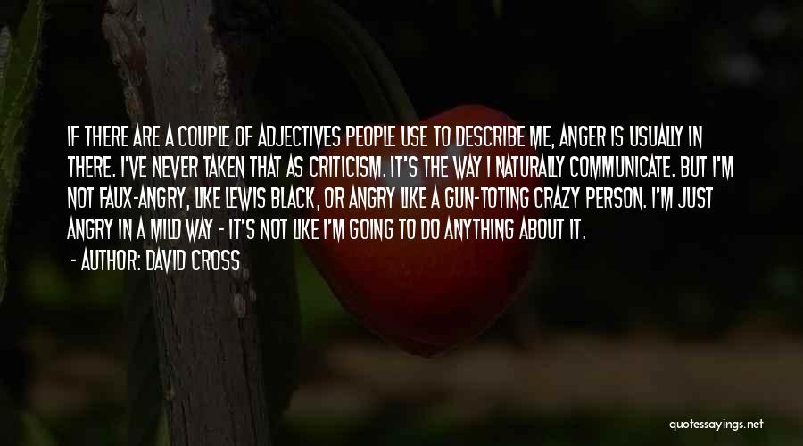 David Cross Quotes: If There Are A Couple Of Adjectives People Use To Describe Me, Anger Is Usually In There. I've Never Taken