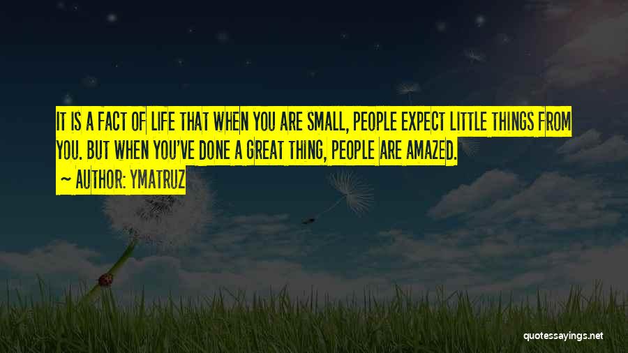 Ymatruz Quotes: It Is A Fact Of Life That When You Are Small, People Expect Little Things From You. But When You've