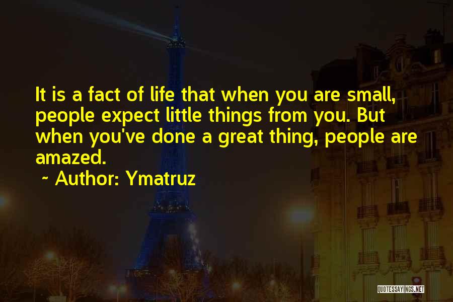 Ymatruz Quotes: It Is A Fact Of Life That When You Are Small, People Expect Little Things From You. But When You've