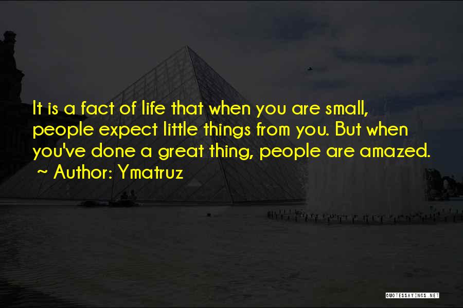 Ymatruz Quotes: It Is A Fact Of Life That When You Are Small, People Expect Little Things From You. But When You've