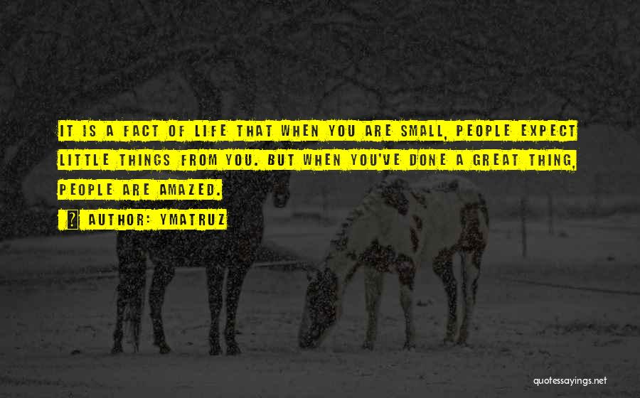 Ymatruz Quotes: It Is A Fact Of Life That When You Are Small, People Expect Little Things From You. But When You've