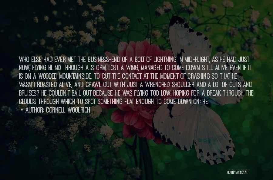 Cornell Woolrich Quotes: Who Else Had Ever Met The Business-end Of A Bolt Of Lightning In Mid-flight, As He Had Just Now, Flying