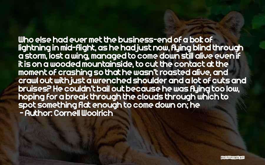 Cornell Woolrich Quotes: Who Else Had Ever Met The Business-end Of A Bolt Of Lightning In Mid-flight, As He Had Just Now, Flying