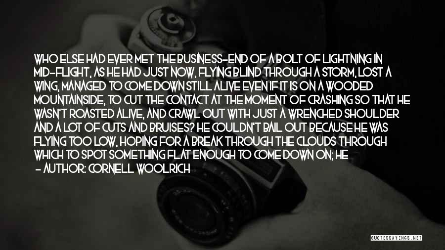 Cornell Woolrich Quotes: Who Else Had Ever Met The Business-end Of A Bolt Of Lightning In Mid-flight, As He Had Just Now, Flying