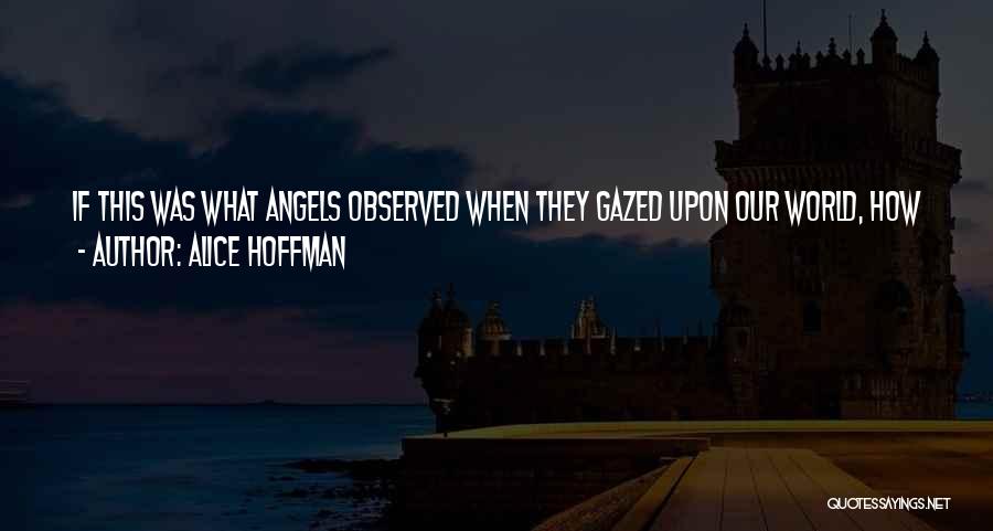 Alice Hoffman Quotes: If This Was What Angels Observed When They Gazed Upon Our World, How We Might Murder Each Other And Cause