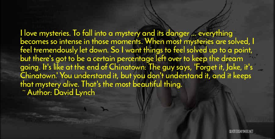 David Lynch Quotes: I Love Mysteries. To Fall Into A Mystery And Its Danger ... Everything Becomes So Intense In Those Moments. When