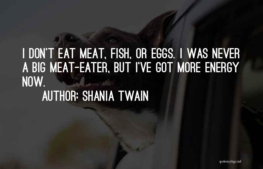 Shania Twain Quotes: I Don't Eat Meat, Fish, Or Eggs. I Was Never A Big Meat-eater, But I've Got More Energy Now.