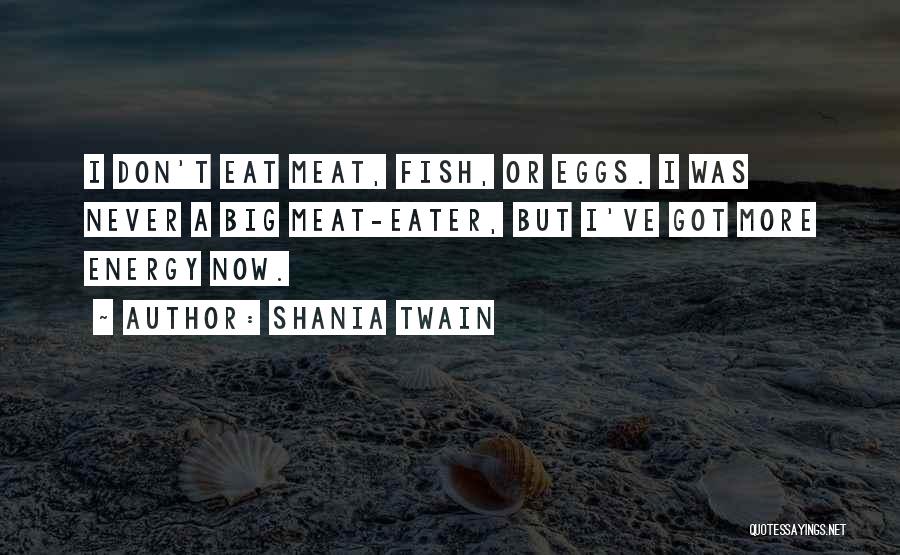 Shania Twain Quotes: I Don't Eat Meat, Fish, Or Eggs. I Was Never A Big Meat-eater, But I've Got More Energy Now.