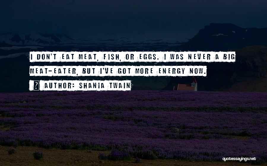 Shania Twain Quotes: I Don't Eat Meat, Fish, Or Eggs. I Was Never A Big Meat-eater, But I've Got More Energy Now.
