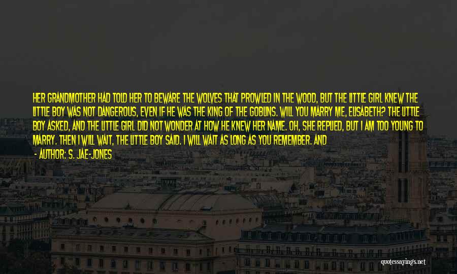 S. Jae-Jones Quotes: Her Grandmother Had Told Her To Beware The Wolves That Prowled In The Wood, But The Little Girl Knew The