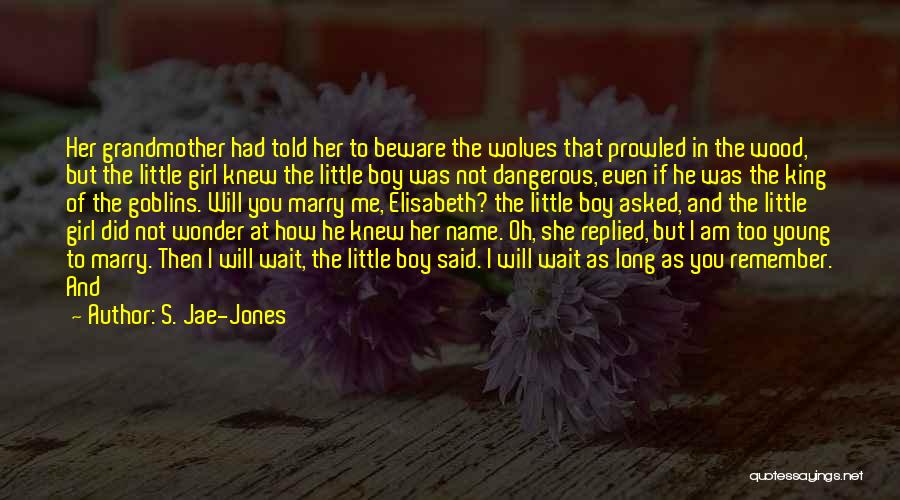 S. Jae-Jones Quotes: Her Grandmother Had Told Her To Beware The Wolves That Prowled In The Wood, But The Little Girl Knew The