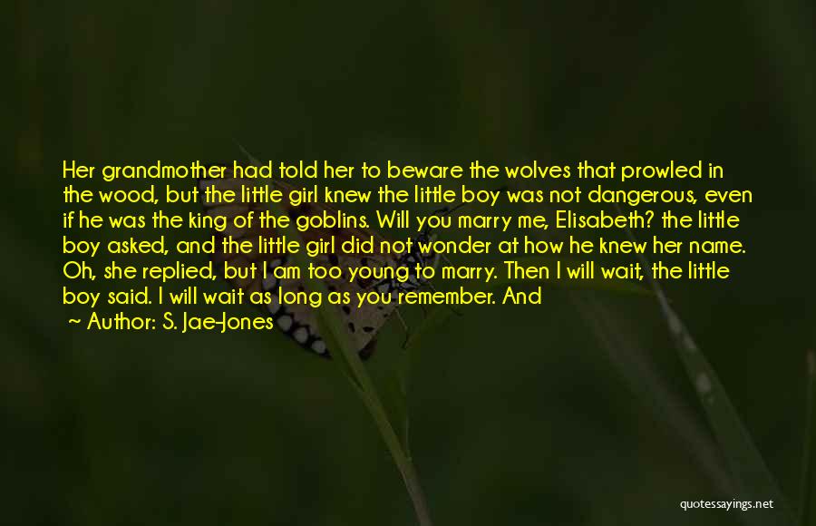 S. Jae-Jones Quotes: Her Grandmother Had Told Her To Beware The Wolves That Prowled In The Wood, But The Little Girl Knew The