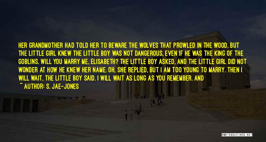 S. Jae-Jones Quotes: Her Grandmother Had Told Her To Beware The Wolves That Prowled In The Wood, But The Little Girl Knew The