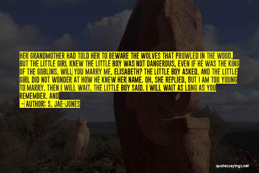 S. Jae-Jones Quotes: Her Grandmother Had Told Her To Beware The Wolves That Prowled In The Wood, But The Little Girl Knew The