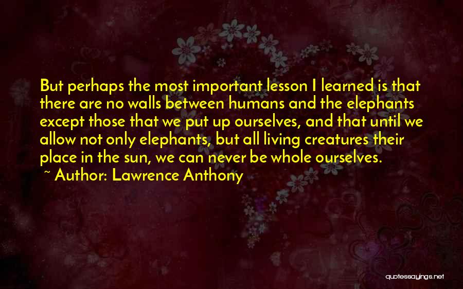 Lawrence Anthony Quotes: But Perhaps The Most Important Lesson I Learned Is That There Are No Walls Between Humans And The Elephants Except