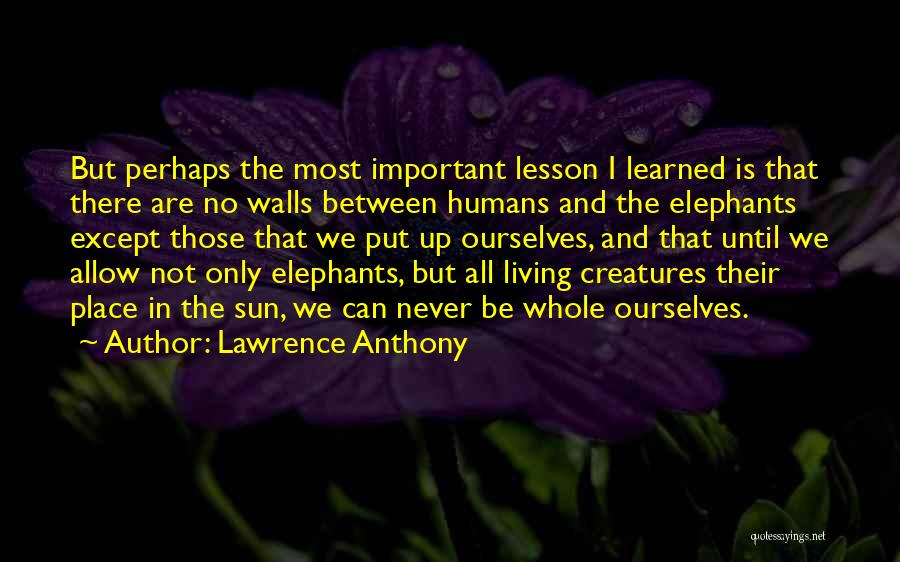 Lawrence Anthony Quotes: But Perhaps The Most Important Lesson I Learned Is That There Are No Walls Between Humans And The Elephants Except