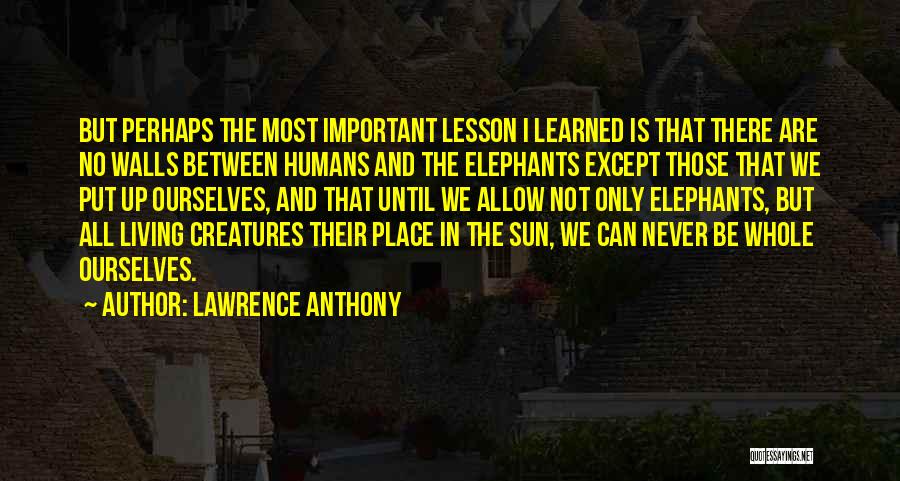 Lawrence Anthony Quotes: But Perhaps The Most Important Lesson I Learned Is That There Are No Walls Between Humans And The Elephants Except