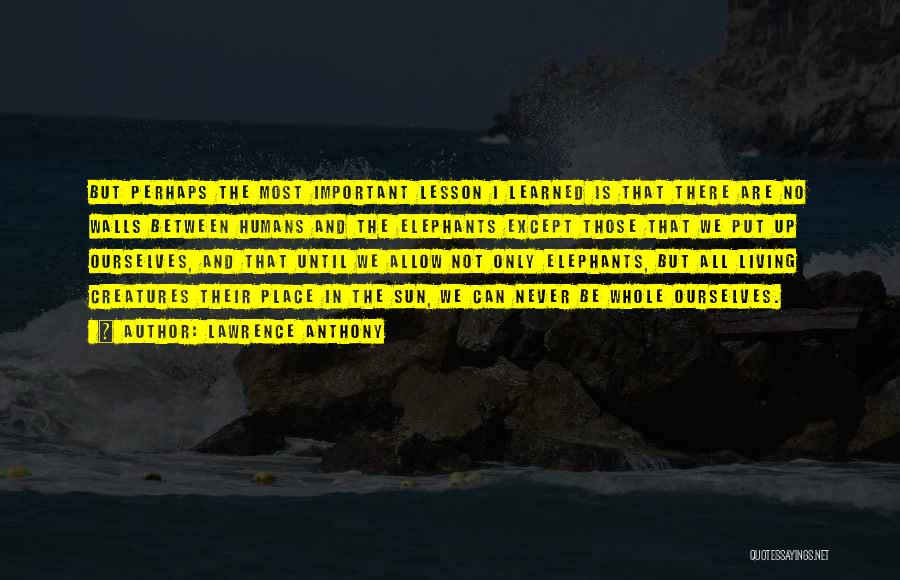 Lawrence Anthony Quotes: But Perhaps The Most Important Lesson I Learned Is That There Are No Walls Between Humans And The Elephants Except