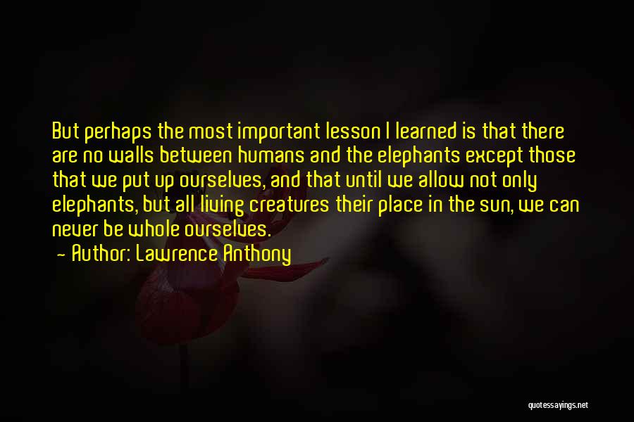 Lawrence Anthony Quotes: But Perhaps The Most Important Lesson I Learned Is That There Are No Walls Between Humans And The Elephants Except